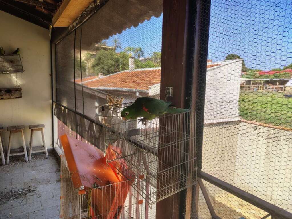 “Operação Impacto/Força Total”. Ações da 2ª Cia. PM Ambiental (Piracicaba), realiza de R$ 377.424,00 em multas 2 e4536850 699f 4fa2 a0bb 21c752048138