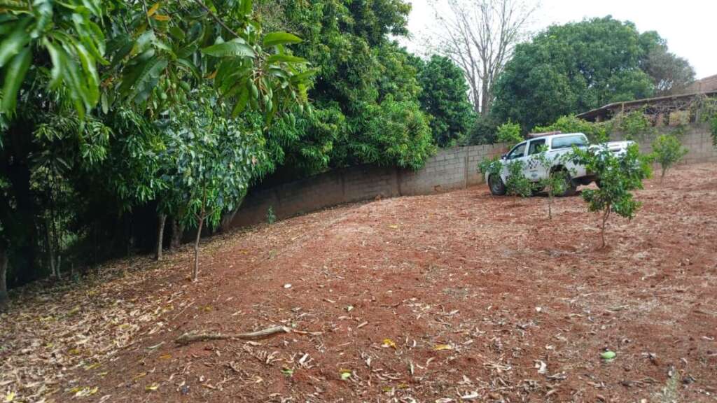 Comando da 2ª Cia. PM Ambiental desencadeia “operação’ GEOPATO 8 ee0b56fe 808f 4d2c 8ca5 0d446a884259