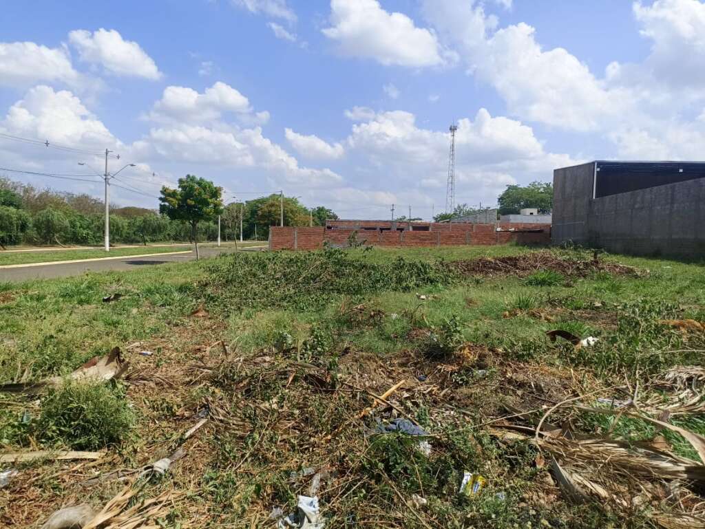GCMs atual proprietário de imóvel que praticou poda drástica em árvore e por descarte irregular 1 ef1e0641 e6d3 430e a674 cbd24ebef2d1