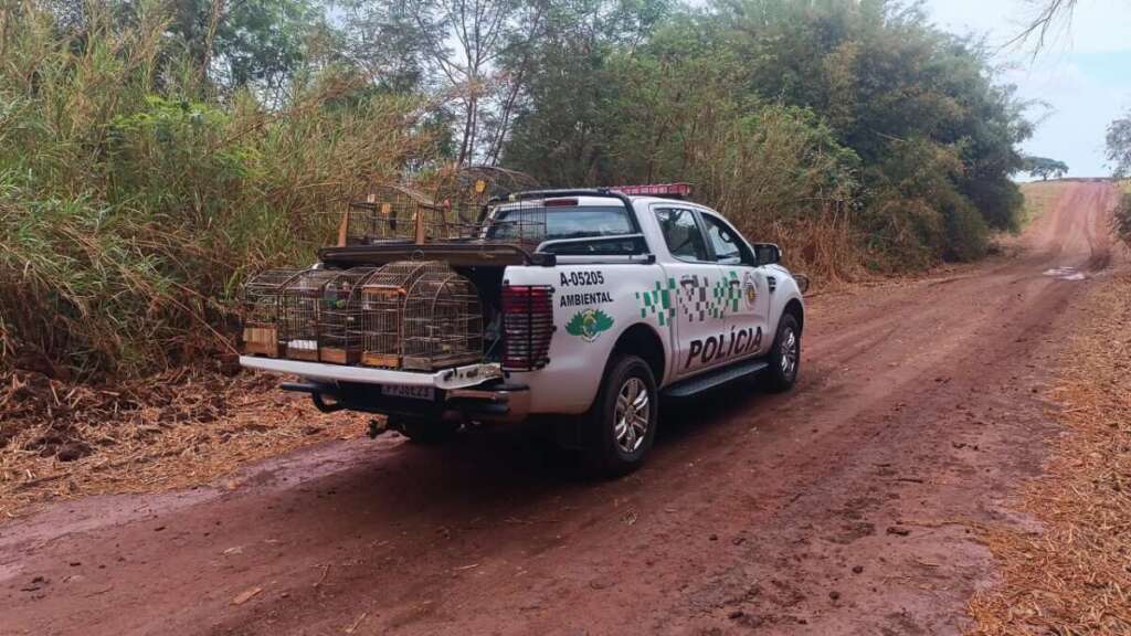 Polícia Militar Ambiental. Comprometimento com Educação Ambiental, de fiscalização à crimes ambientais 6 f25ed29e 685c 4596 8a9f bb0dd1110161