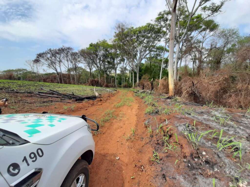 “Operação Impacto/Força Total”. Ações da 2ª Cia. PM Ambiental (Piracicaba), realiza de R$ 377.424,00 em multas 4 f8824b3e add0 48ba a78c 0415c56db4ed