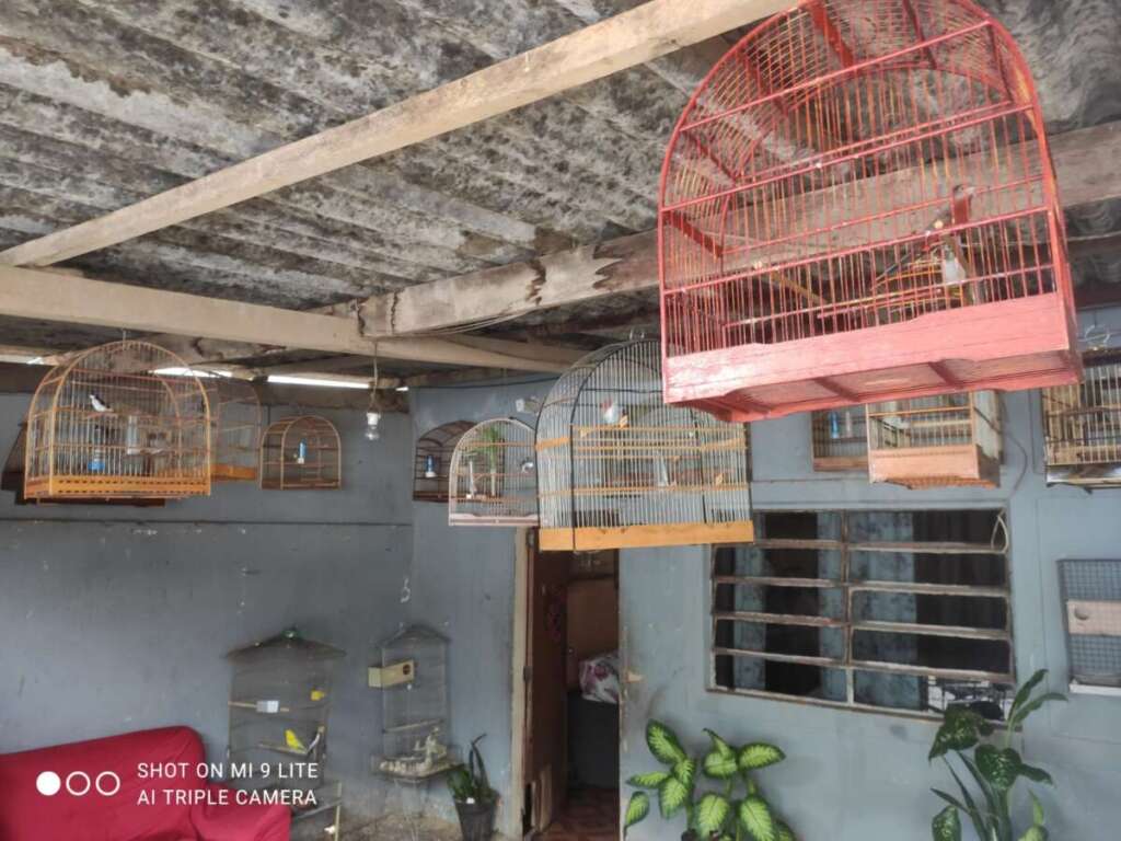 PM Ambiental em ações realizam fiscalizações na área da 2ª Cia. PM 2 fa1f4b4c cd48 49b6 b641 1ad056895646