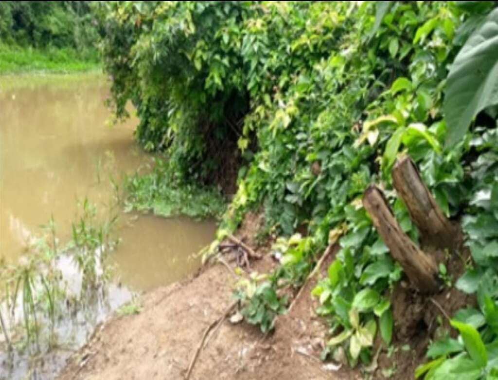 15293275 d5a1 4517 8be0 6ea1b6f2e805