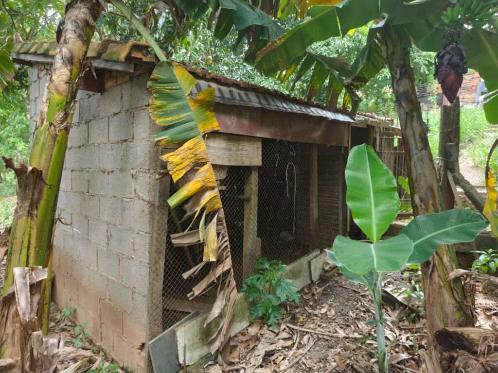 2a0e59b3 5e91 4520 b52a d32d2e2b209a