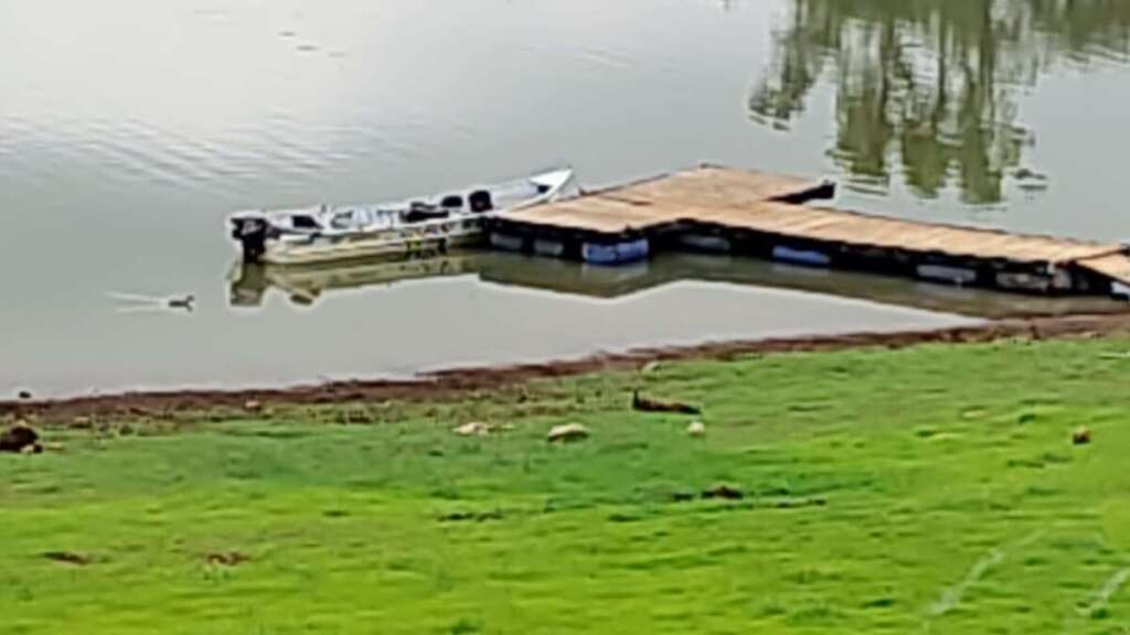 2fb378bd d751 4a98 86be 3f054e5ab1d9