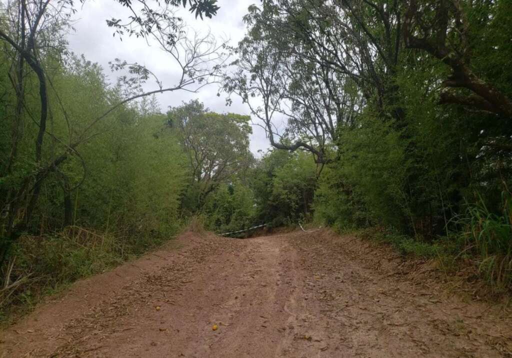 Policiamento Ambiental dos pelotões da 2ª Cia. PMAmb, se destacam nas ações ambientais 6 42e593c3 bd00 46dc 9f57 8bac23fdcfa3