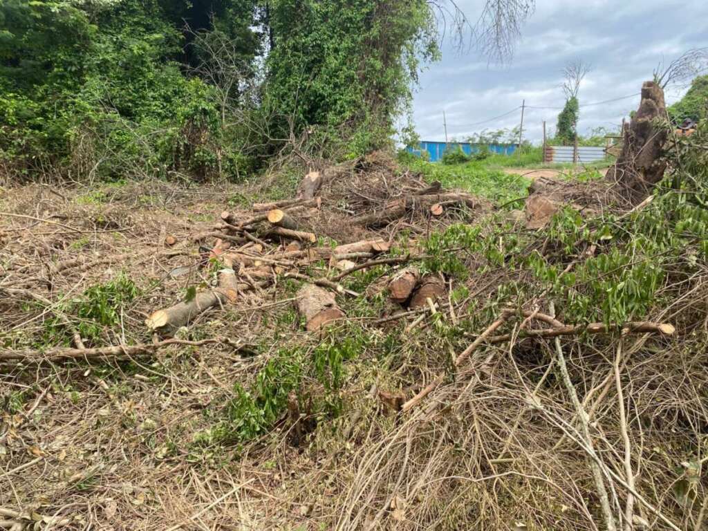 Policiamento Ambiental dos pelotões da 2ª Cia. PMAmb, se destacam nas ações ambientais 4 4cb63063 4f97 4642 9bba d35ae45e33cb