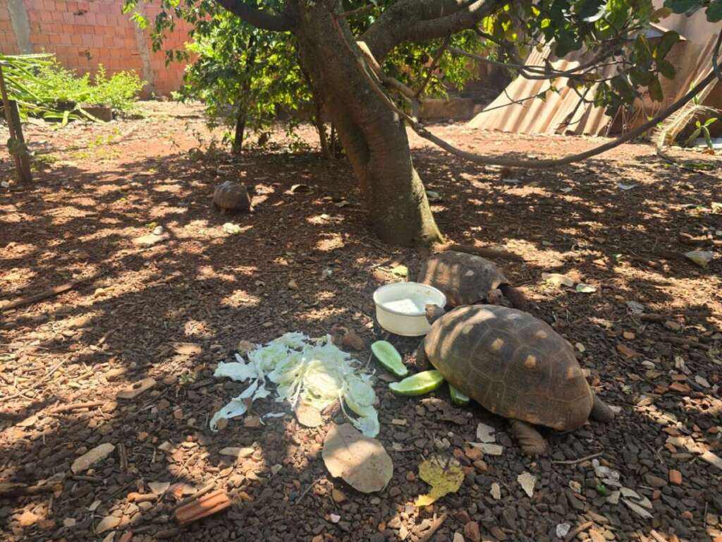 51b31ee9 6a25 447f b069 f997c7fe964a