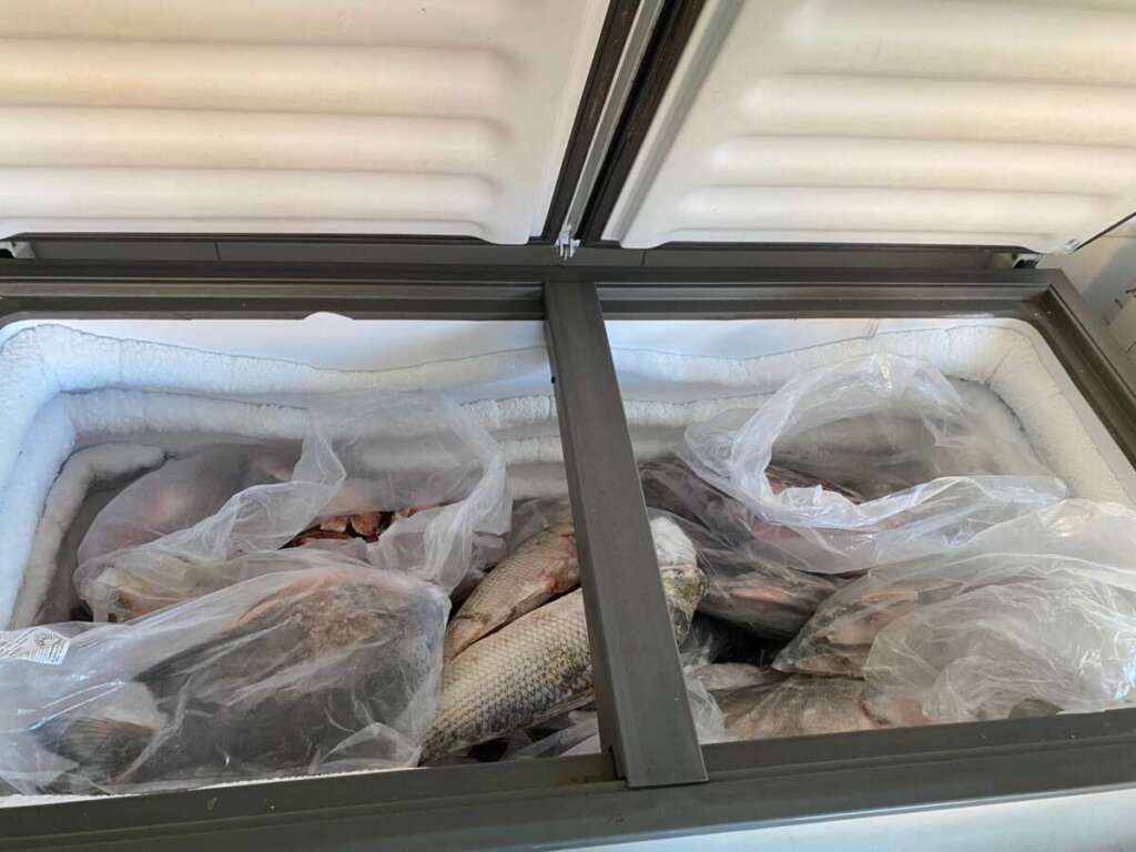 Polícia Militar Ambiental realiza fiscalizações em fontes de consumo (peixarias) neste Defeso da Pesca 5 59d5a9ce fbcb 4c5c 9eac 4dacde36592e