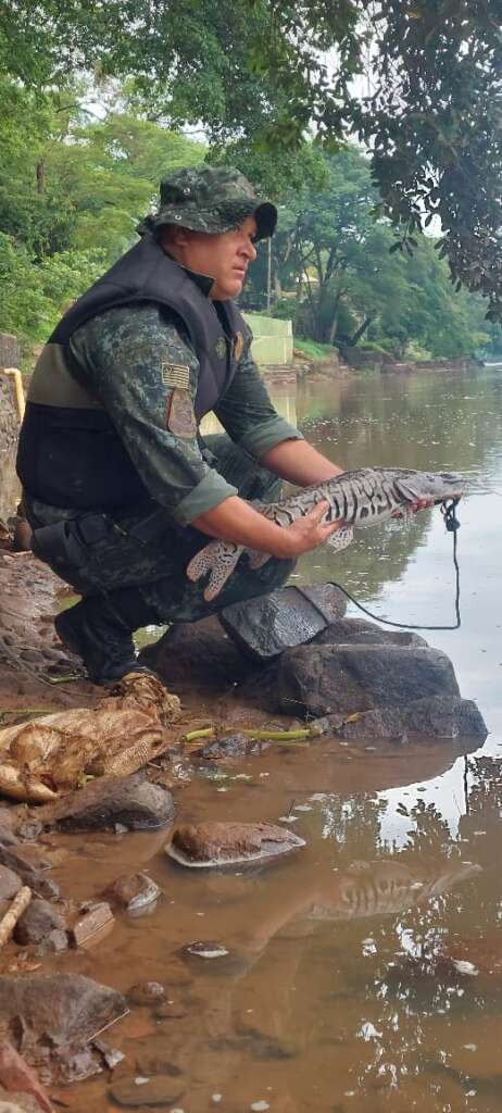 666a9f63 dad4 4db3 893a d108d318731c