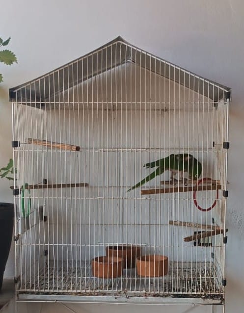 6773781b 2389 4296 a9fe 88cbb69fd84d