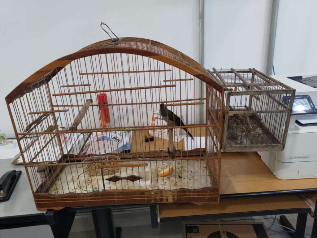 6bc0d04c 682c 4e67 a39b 8c3bf45a82e1