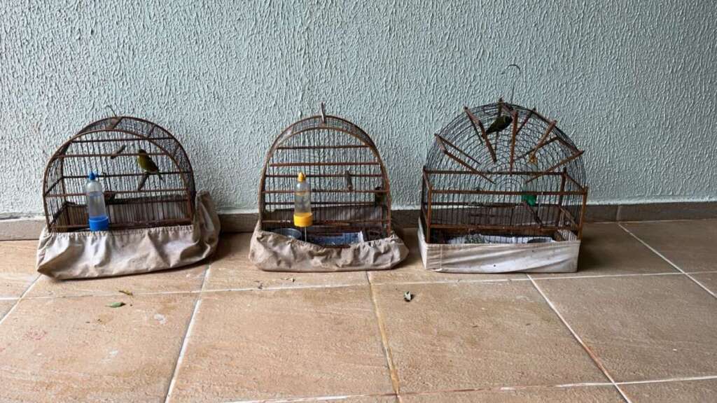 6e2bf63f c00e 4cb0 b0f1 77e5d171aaba