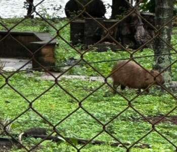 7558c800-c324-47a5-887d-1012d62db952