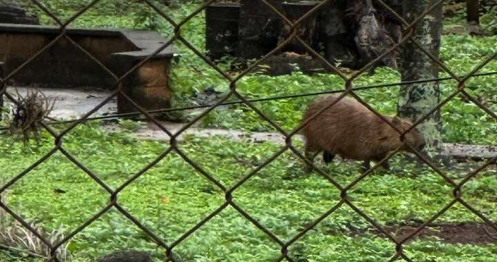 7558c800 c324 47a5 887d 1012d62db952