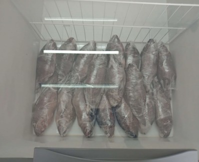 789faa51 9b13 49ee 8977 f7894a27b339