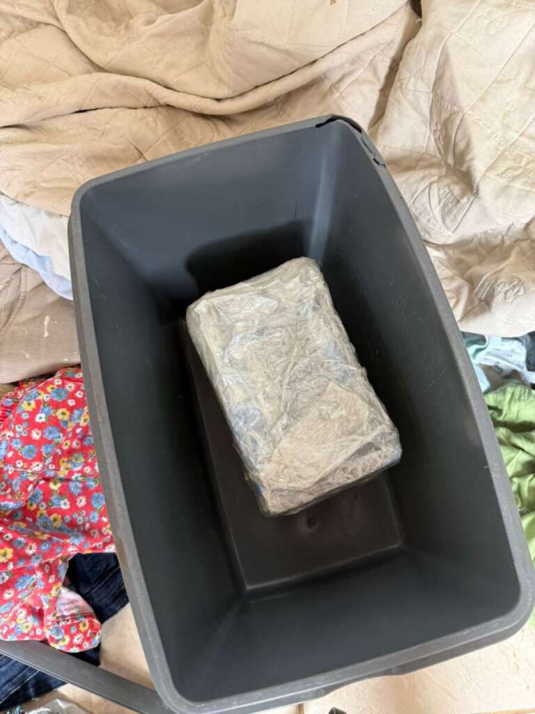 7985edc3 a967 4324 8110 a0d1c21ef31d