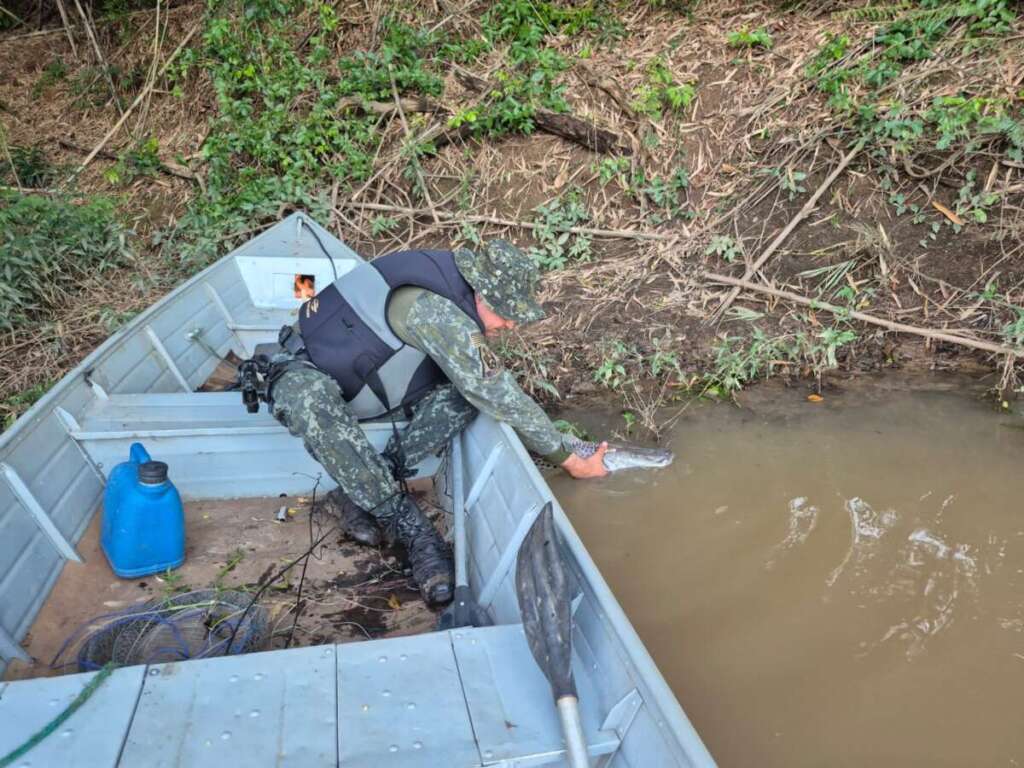 805e8373 441b 4dba 9a69 dd8cb3ffaf03