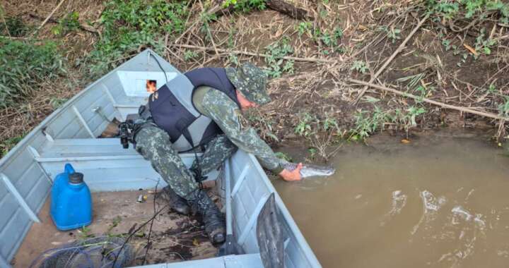 805e8373 441b 4dba 9a69 dd8cb3ffaf03