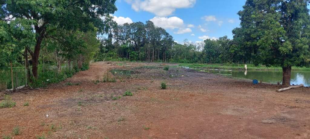 8d63a6d0 0bbb 4197 b881 b1349d3c62c3