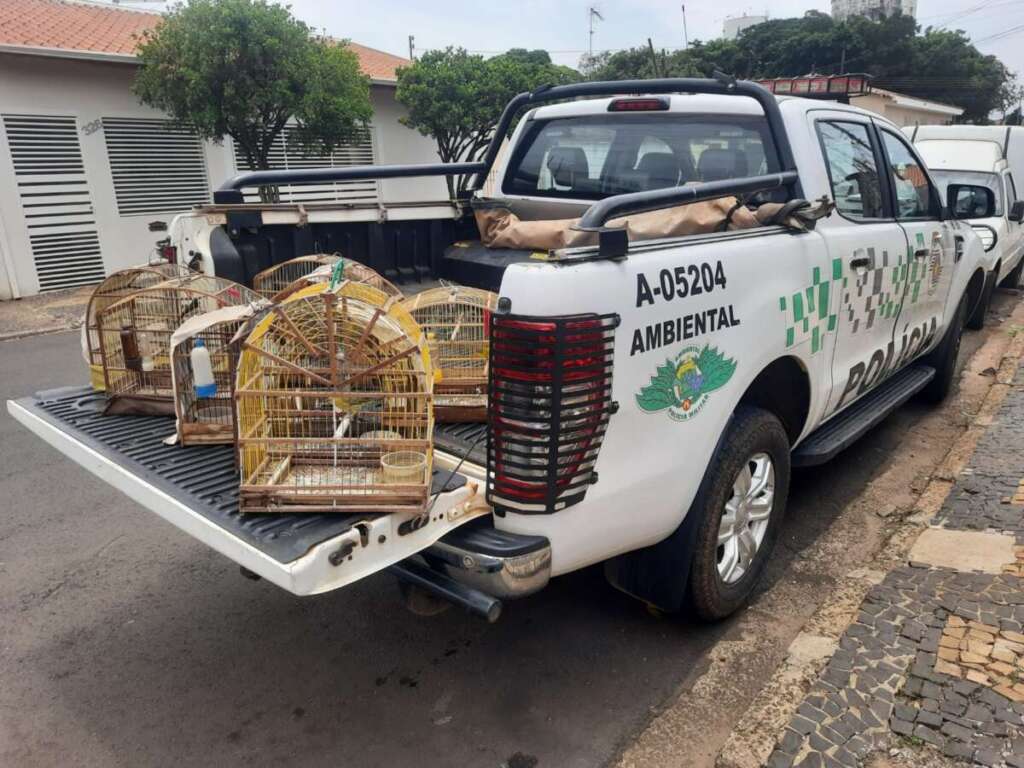 Policiamento Ambiental dos pelotões da 2ª Cia. PMAmb, se destacam nas ações ambientais 3 8f0e290c 34e6 4678 9eed 9835384bd27a