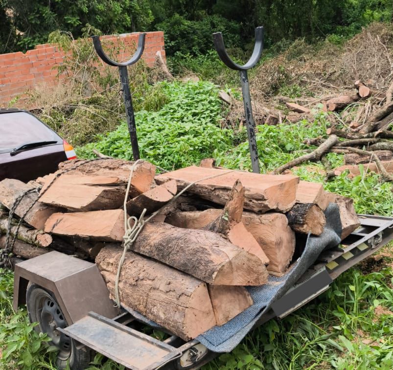Policiamento Ambiental dos pelotões da 2ª Cia. PMAmb, se destacam nas ações ambientais 5 914a5b95 996d 4c9b 925e 2dda236e050b