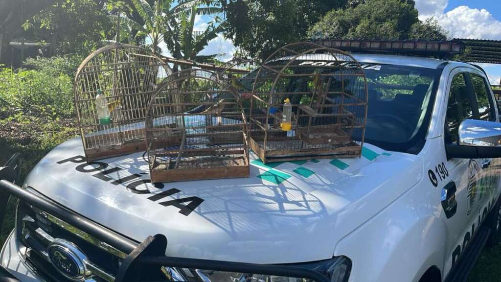 91bf6034 5d54 40ee a076 9a0aa13a05d6