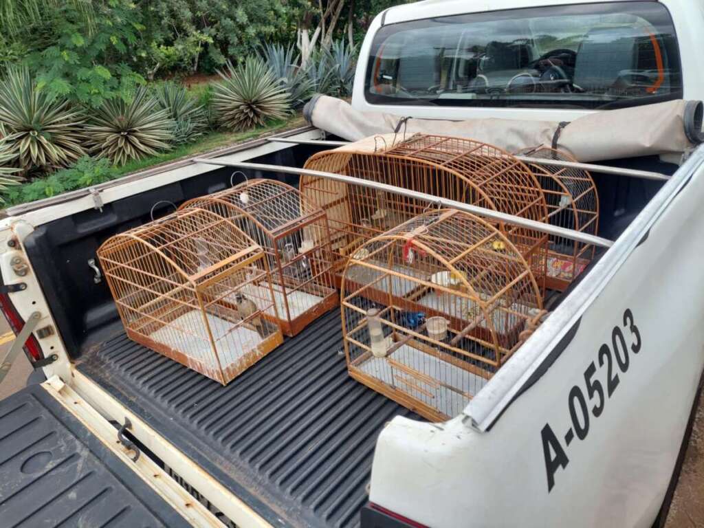 9eceb071 36bf 410b b758 e565f31fe996