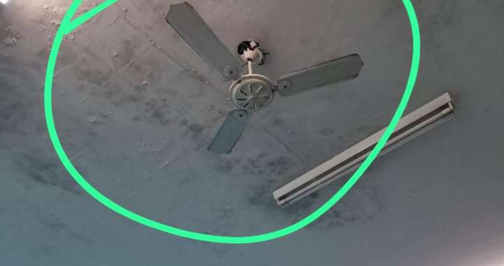 WhatsApp Image 2025 11 24 at 09.36.07