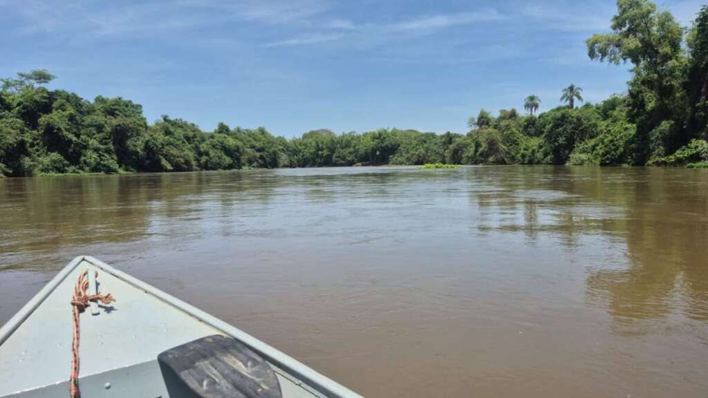 bb85c34f f74f 4924 8ba1 44e40d838e1e