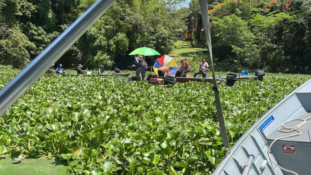 c8da0a1f 71a6 48a5 ba0e 469eac944611