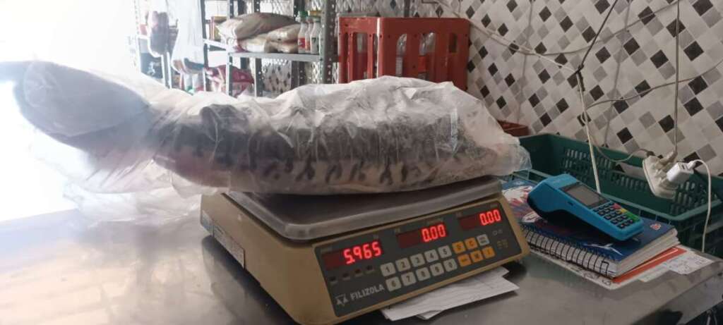 PM Ambiental continua atuante na Operação Piracema, bem como em outras atividades voltadas ao meio ambiente 1 caae3256 ae86 4150 9ae0 e06fbd3276fa