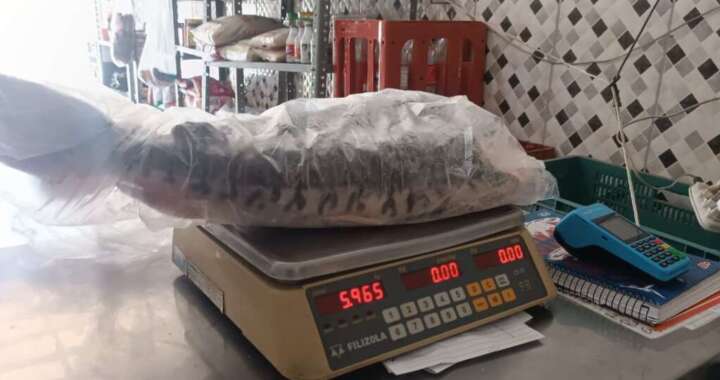 caae3256 ae86 4150 9ae0 e06fbd3276fa