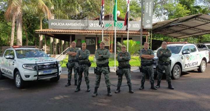 cc6e0310 0484 45fe 9354 f751650ddfb2