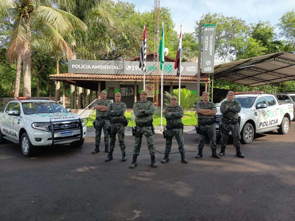 cc6e0310 0484 45fe 9354 f751650ddfb2