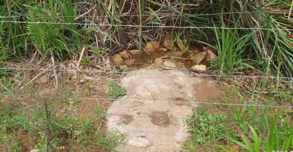 cead09f0 4e3d 40d0 babe e30fd978a4d7