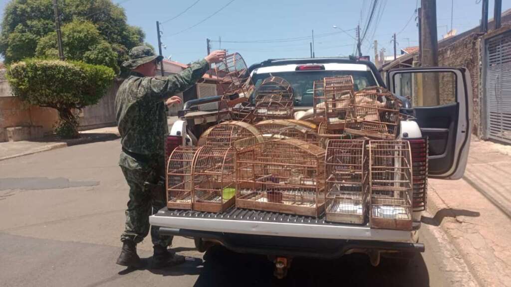 d983ab38 c15a 4fbb 84d7 17eea2f7928d