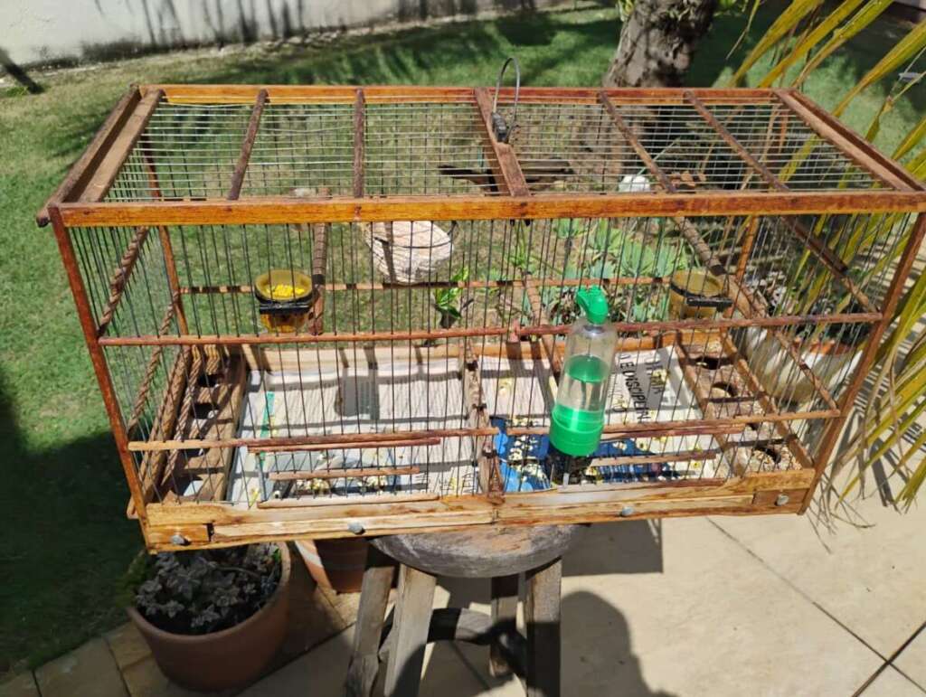 f37cda34 b1c4 4dfd 8714 e095c2302209