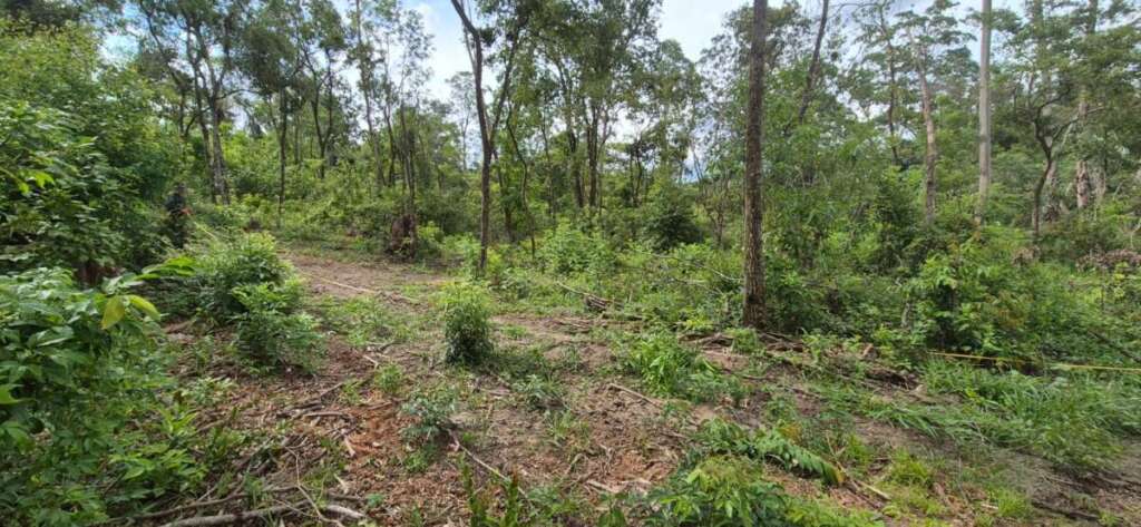 PM Ambiental fecha o cerco aos crimes ambientais. Peixes retirados do Rio, de forma criminosa são doados para Asilo de Porto Ferreira 13 002b1d2f 3e91 44c4 bb8a bbec7468530f