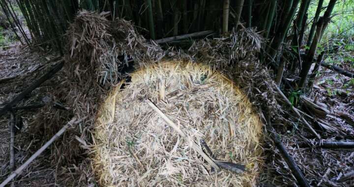 0229a092 5642 4d52 bd6e 2bceba061b79