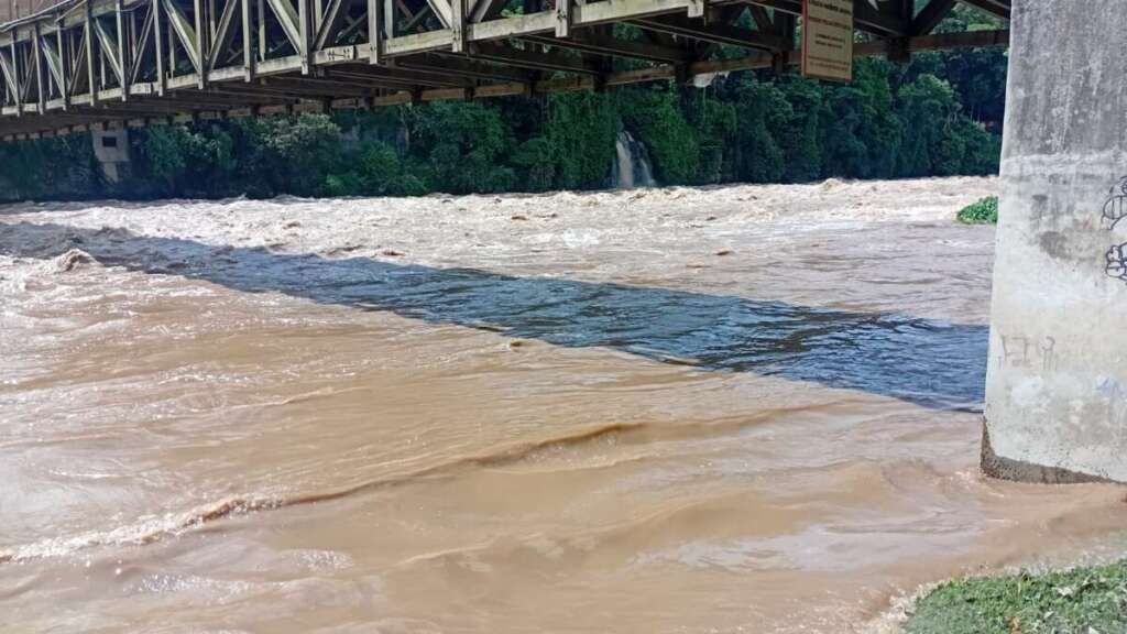 Operação Piracema: Polícia Militar Ambiental intensifica ações com fiscalização em pátios madeireiros, rios e foco na educação 3 299c949c 3b03 41e8 bd93 1b86a8ba6ea2