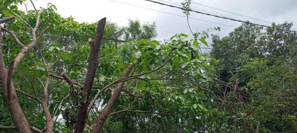 2f0ff9de 8f8e 4a29 baf5 cd1c177fa510