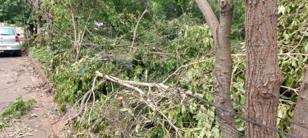 334c1cf3 6090 4211 8bc6 1c63e9109e79 1