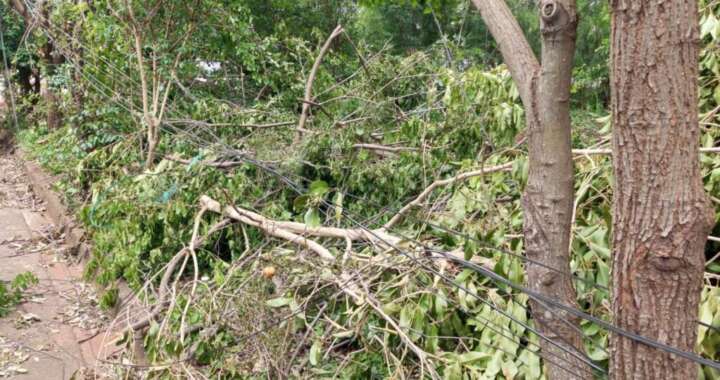 334c1cf3 6090 4211 8bc6 1c63e9109e79 2