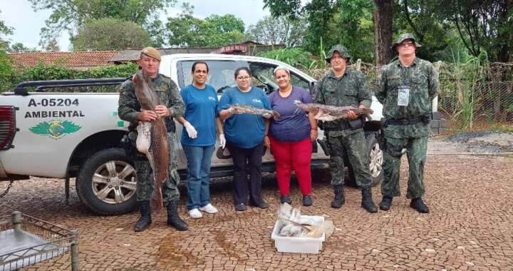 407f37ee 1c95 49c6 9172 123e013a2f2f