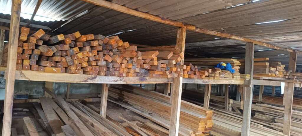 Operação Piracema: Polícia Militar Ambiental intensifica ações com fiscalização em pátios madeireiros, rios e foco na educação 2 420a77fa 6357 4c58 a2e4 4d1841986739