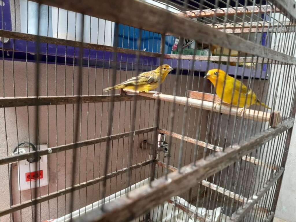 43175604 f72f 4826 b97c 81a735d90729