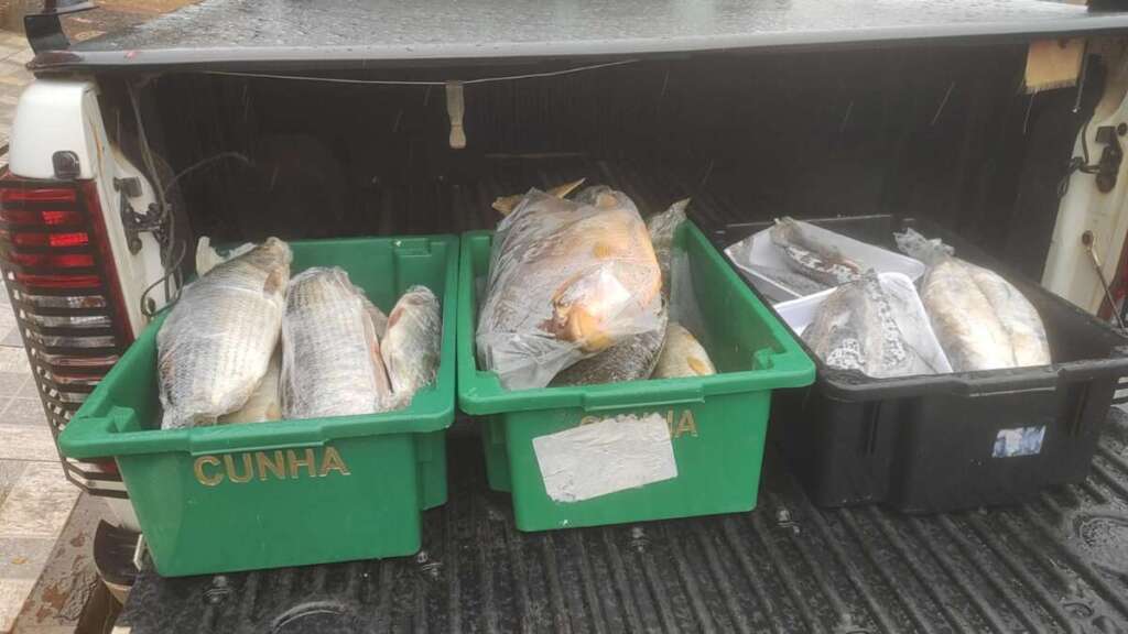 Patrulhamento Náutico e Fiscalização Reforçada da Polícia Militar Ambiental 16 4afd6d89 7cfc 4c30 960b 8f7f0d1f05fb