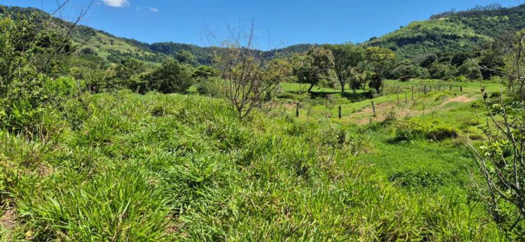 4b79c714 a0c7 4401 9bb7 e03723038ada