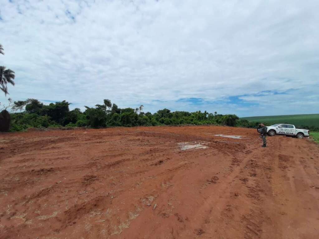 Onde a Natureza Precisa de Voz, a PM Ambiental se Faz Presente 4 57408879 369c 4179 8deb 09e81c140aba